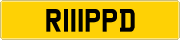 R111PPD Plate for Sale